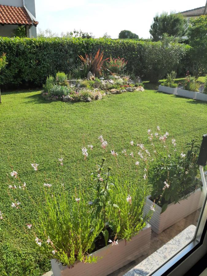 Apartman Olga Umag Dış mekan fotoğraf