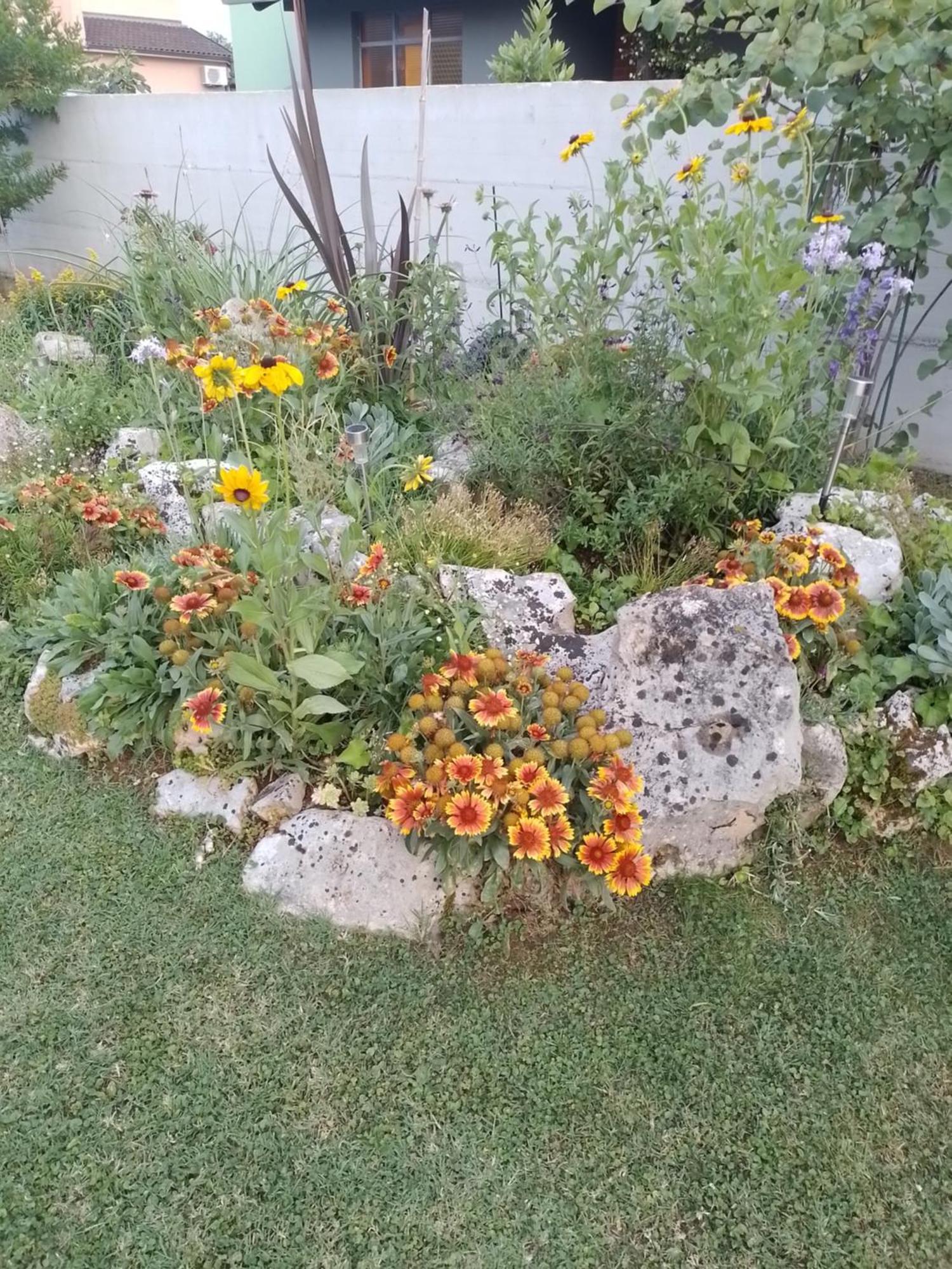 Apartman Olga Umag Dış mekan fotoğraf