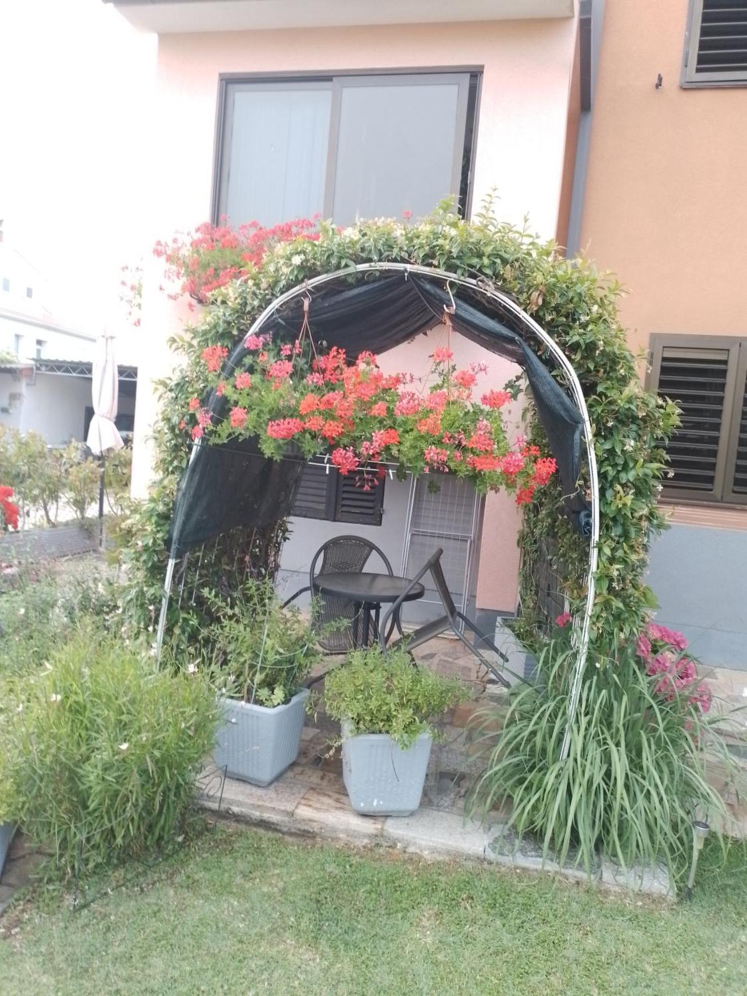 Apartman Olga Umag Dış mekan fotoğraf