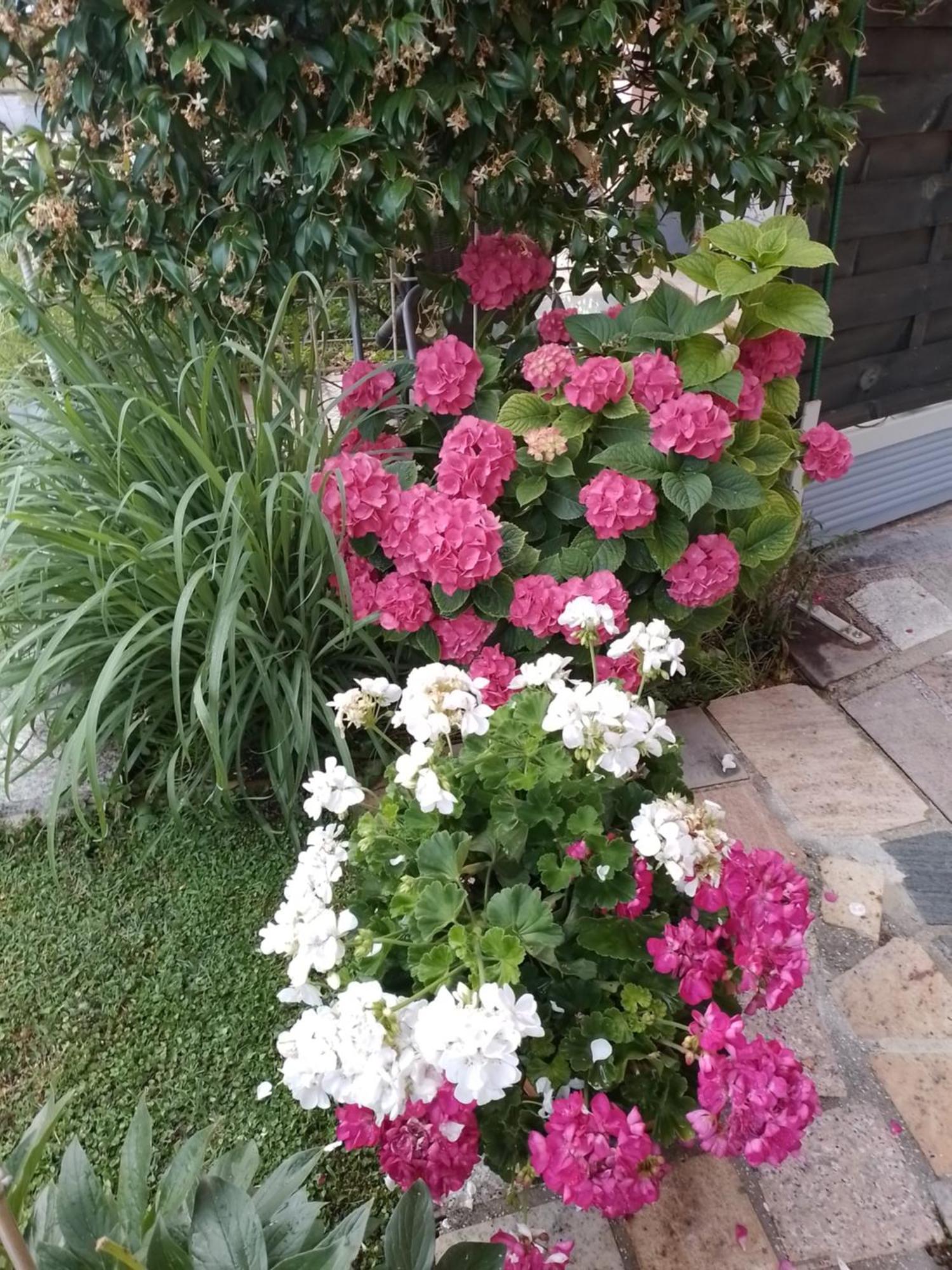Apartman Olga Umag Dış mekan fotoğraf