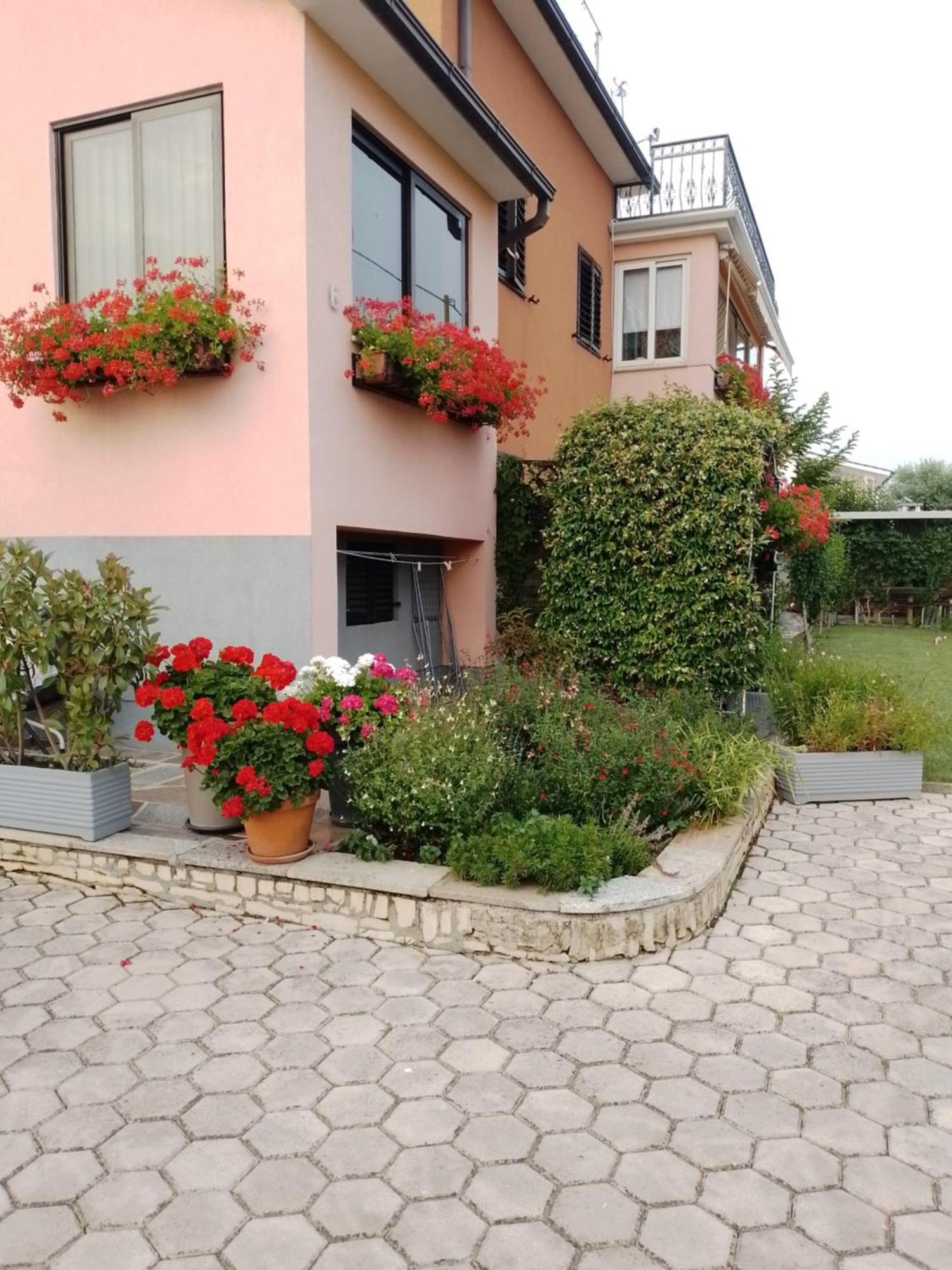 Apartman Olga Umag Dış mekan fotoğraf