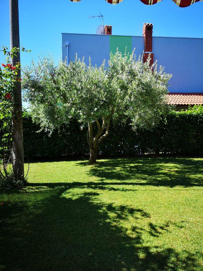 Apartman Olga Umag Dış mekan fotoğraf