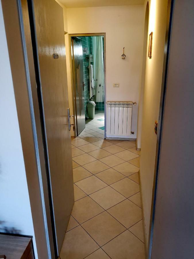 Apartman Olga Umag Dış mekan fotoğraf